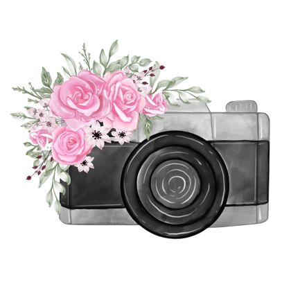 植物水彩花玫瑰粉色插画相机玫瑰浪漫墙壁艺术