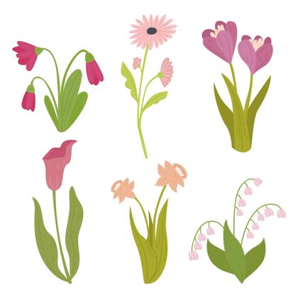 春天手绘春花系列分类植物设置