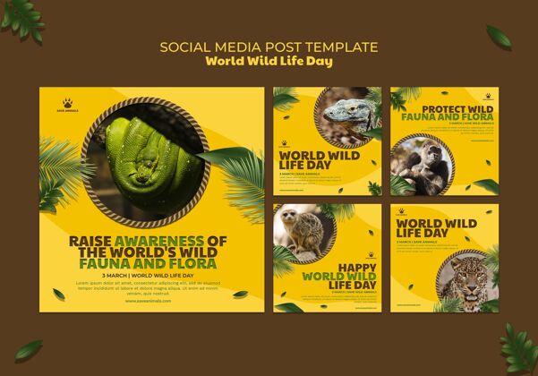 Instagram帖子Instagram发布了世界野生动物日的动物收藏网络模板模板野生动物
