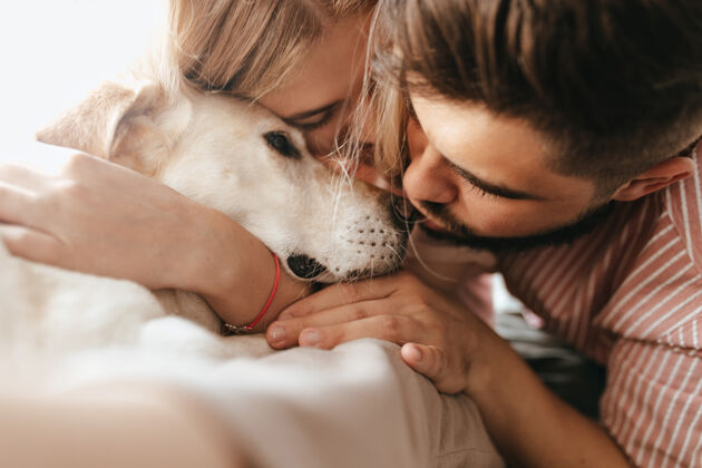 欢呼黑发男人和金发女人深情地拥抱着他们的拉布拉多犬一对夫妇玩狗的肖像特写镜头在一起女朋友男朋友