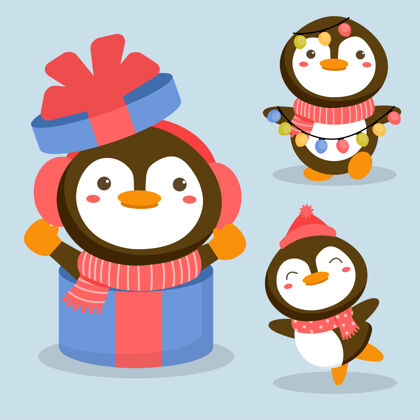 新的动物角色集企鹅和礼品盒动物设置卡通