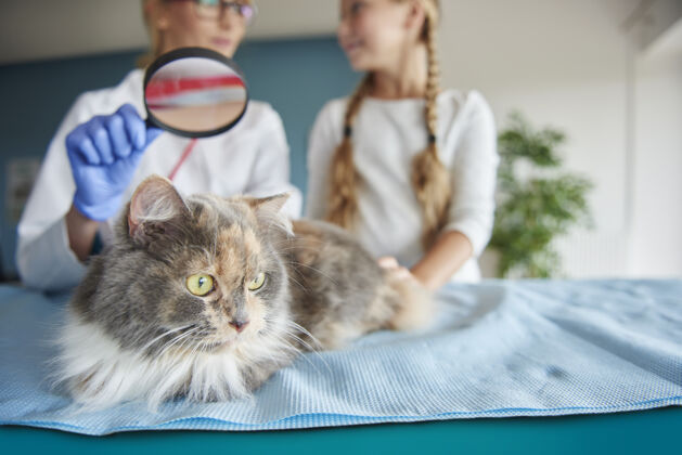 家猫用放大镜检查猫动物医院放大镜防护手套