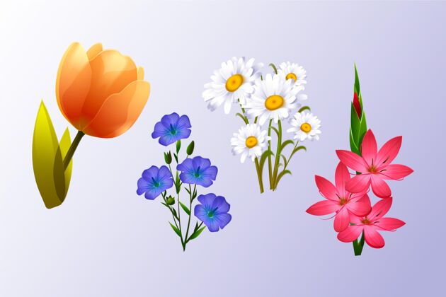春天写实春花系列自然开花开花
