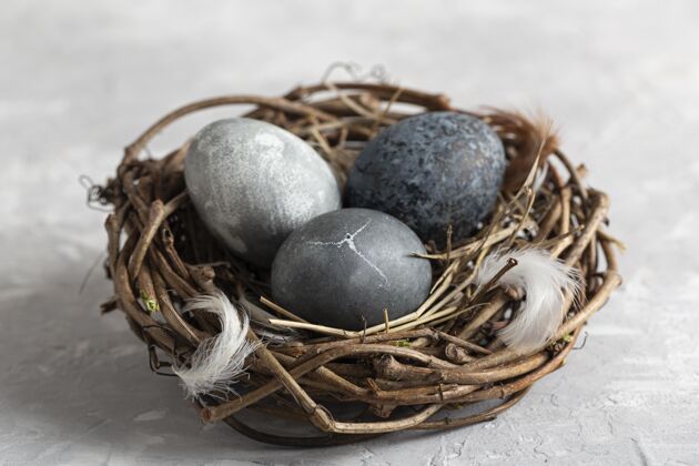 羽毛高角度的复活节彩蛋在鸟巢里用羽毛装饰星期天庆祝树枝