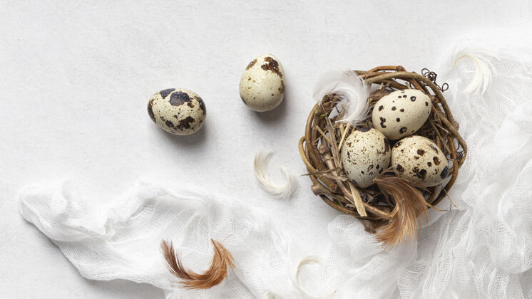 星期天在有羽毛的鸟巢里平放复活节彩蛋复活星期天教节日