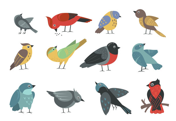 卡通五颜六色的小鸟套装鹦鹉翅膀动物