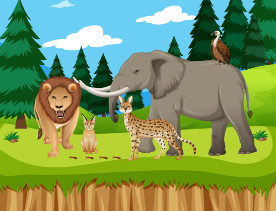 剪贴画动物园里一群非洲野生动物的场景可爱卡通食肉动物