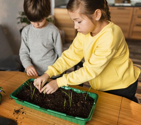 农业高角度的孩子在家里种芽苗菜蔬菜庭院园艺