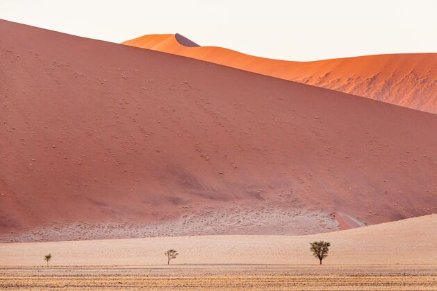 非洲美丽的风景沙丘在纳米布沙漠 索苏斯夫雷 纳米比亚沙丘沙漠干燥