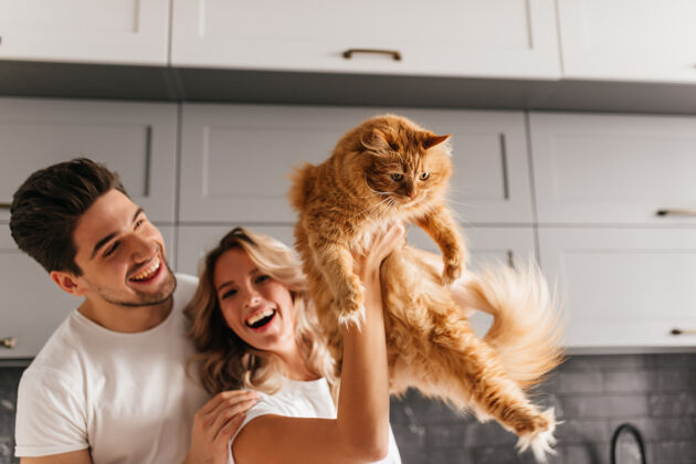 动物兴奋的夫妇与毛茸茸的猫合影微笑可爱的女人在厨房抱着她的宠物的室内肖像男性一起厨房
