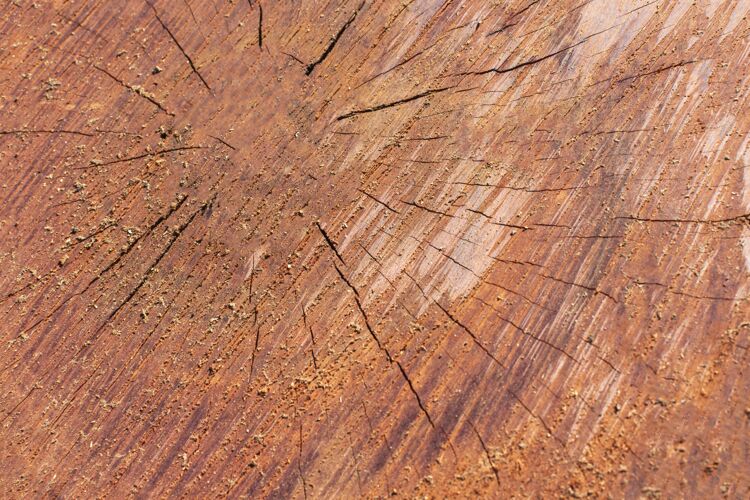 有机木材纹理顶视图材料创意木材