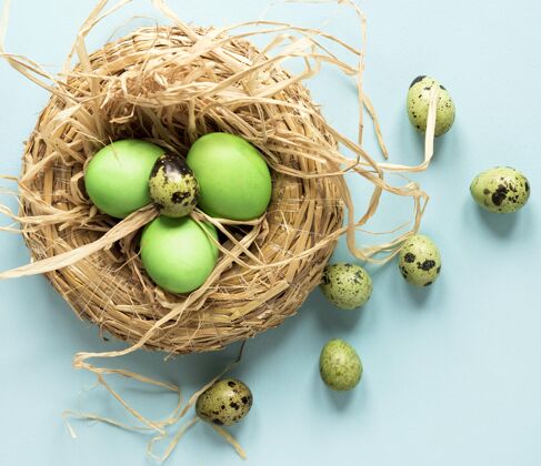 复活节彩蛋绿色复活节鸡和鹌鹑蛋装饰食物装饰