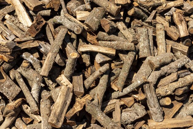 木材一堆砍下来的木头有机生物组成