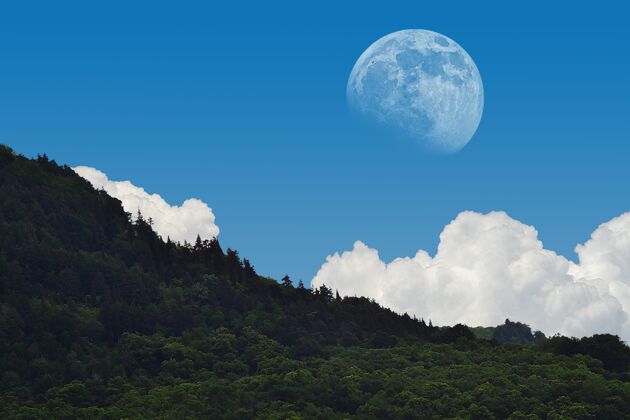 颜色迷人的风景拍摄的月亮充满活力的广阔的白昼宇宙树森林