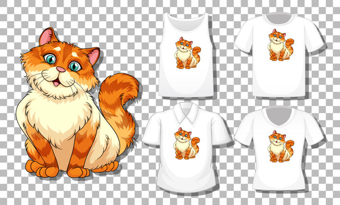 动物猫卡通人物用一套不同的衬衫隔离在透明的衣服上生物儿童年轻