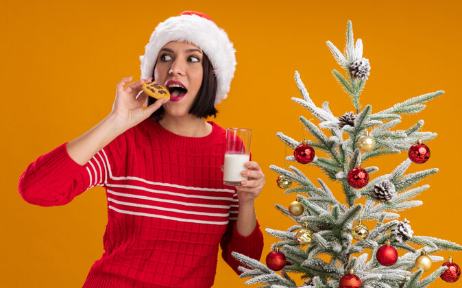 圣诞树令人印象深刻的年轻女孩戴着圣诞帽站在装饰圣诞树附近拿着一杯咬牛奶的饼干看着橙色背景上孤立的一面玻璃帽子靠近