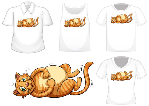 系列猫卡通人物与一套不同的衬衫隔离在白色儿童五颜六色衣服