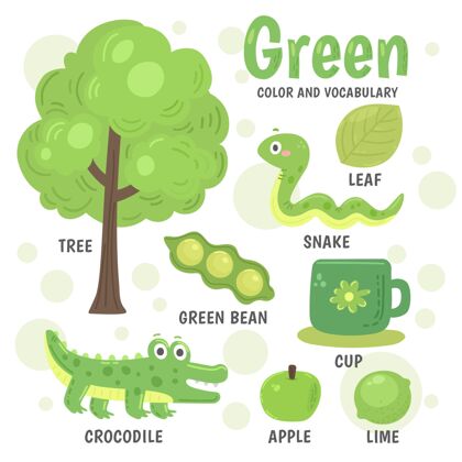 课颜色和英语词汇集幼儿园孩子绿色