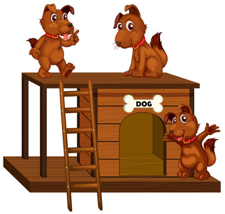 动物狗窝里有可爱的狗狗动物建筑