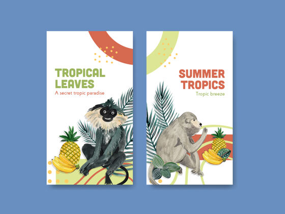花卉Instagram模板 带有热带现代概念设计 适用于社交媒体和在线社区热带树叶自然