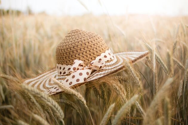 土地选择性聚焦拍摄前景带草帽的麦田户外稻草乡村