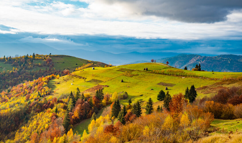 黎明喀尔巴阡山脉异常美丽的自然风光 在美丽的群山中 神奇的天空中 五彩缤纷的森林和一个小村庄色彩日出秋天