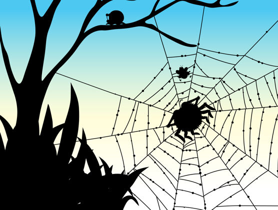 动物蜘蛛网自然背景的阴影蜘蛛网树蜘蛛网