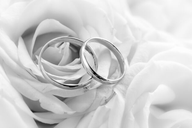 花束黑白特写图结婚戒指对白色玫瑰纯洁订婚新娘