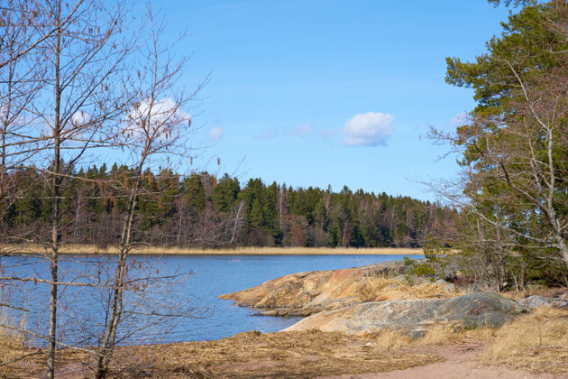 波罗的海波罗的海沿岸的芬兰在春天的一个阳光明媚的日子里岩石背景阳光
