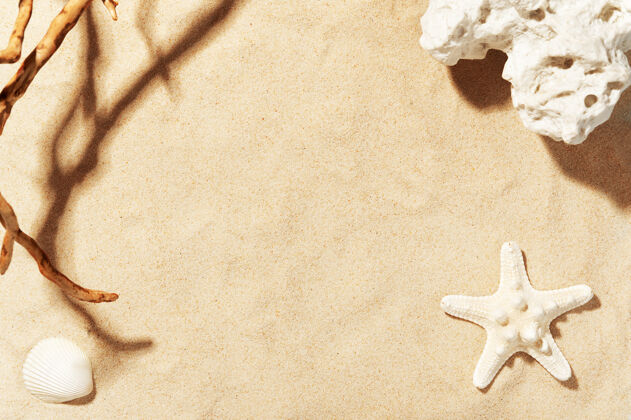 海洋金色沙滩 有贝壳 海星和海石夏天的装饰品异国情调图案树