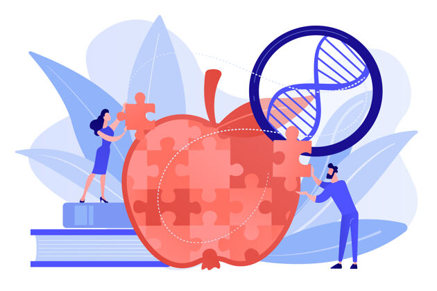 遗传学科学家在做苹果拼图游戏转基因生物和工程生物 白色背景上的分子工程概念粉红珊瑚蓝载体独立插图遗传学工程平面