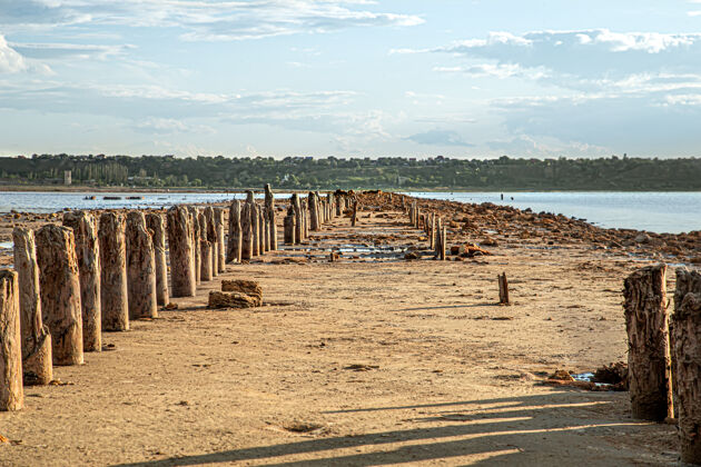 风景一个死湖和古老的盐原木从水里探出天空历史沙滩