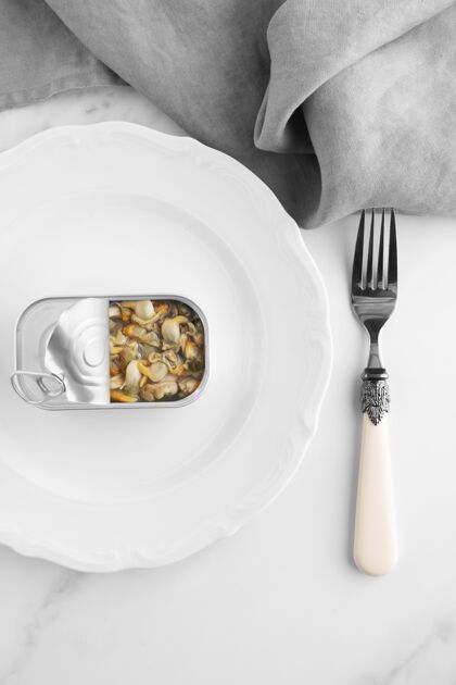 铁顶视图罐头与食物的盘子与叉子容器钢保存