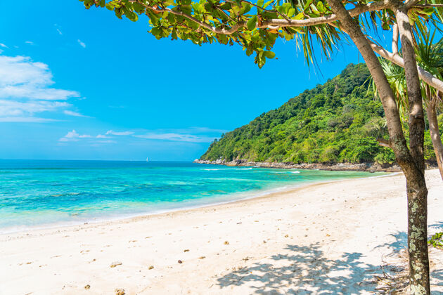 景观美丽的热带海滩 大海 椰子树 蓝天白云环绕田园诗马尔代夫自然