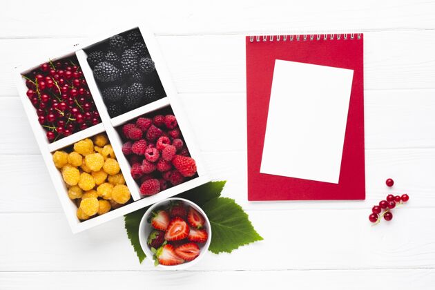 营养美味水果概念模型厨房健康食品营养