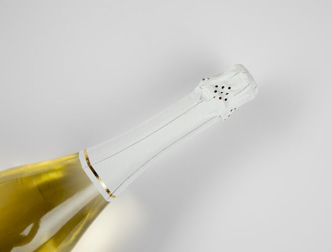 节日带模型的香槟瓶新年年香槟