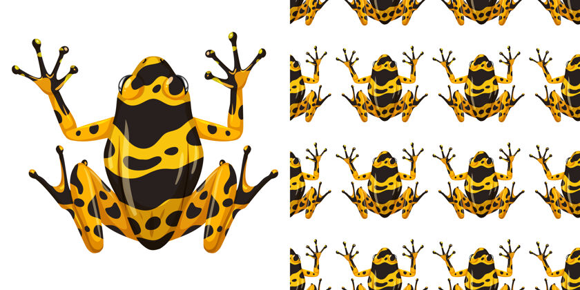 有毒黄带毒镖蛙隔离在白色背景和无缝异国情调两栖动物黄色