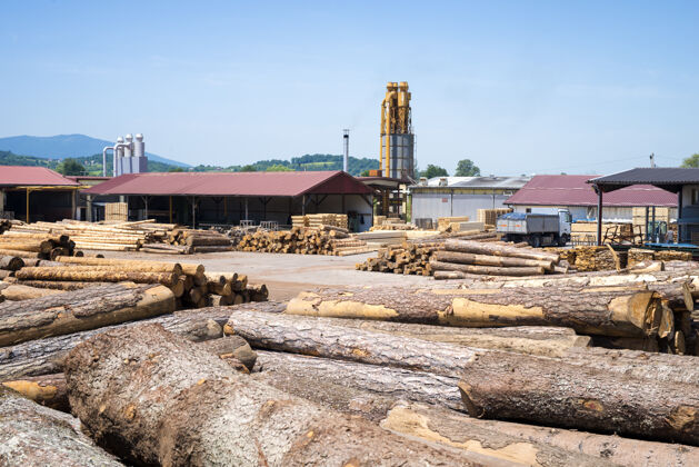 伐木木材加工工业锯木厂的景色堆木材锯