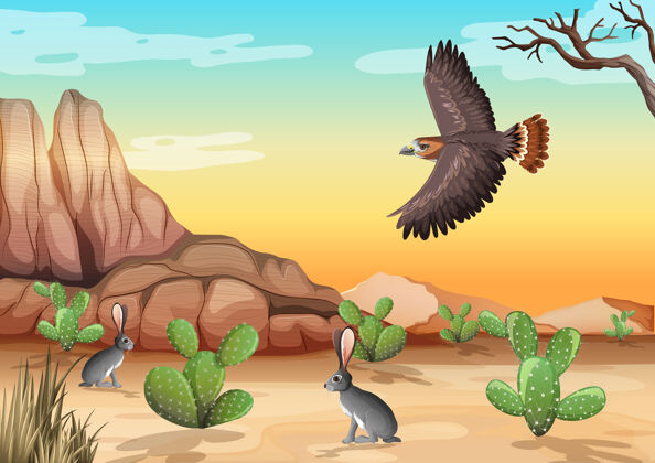 石头沙漠与岩石山脉沙漠动物景观在白天的景象杰克动物动物