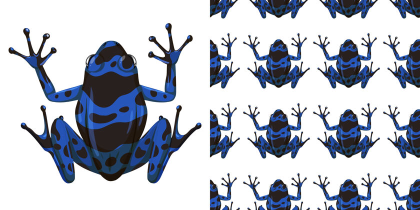 蓝色蓝色毒箭蛙隔离在白色背景和无缝卡通动物图案